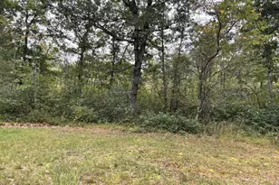 5630 N Irons Rd, Irons, MI 49644 - Photo 23