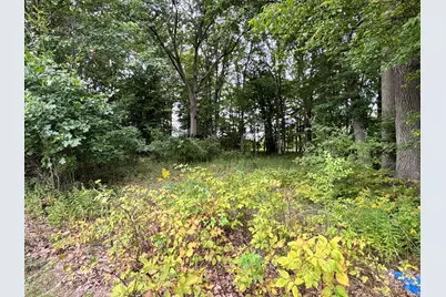 2233 S Wisner Avenue, Fremont, MI 49412 - Photo 13