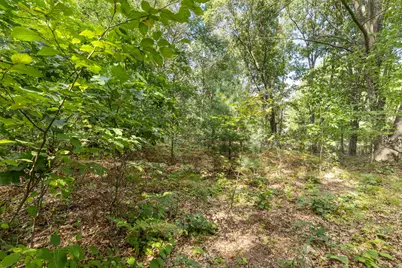 V/L Seneca Dr., Howard City, MI 49329 - Photo 5