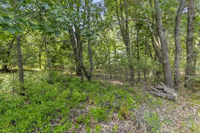 V/L Seneca Dr., Howard City, MI 49329 - Photo 3