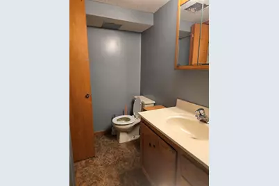 737 Royal Drive, Jackson, MI 49202 - Photo 29