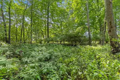 V/L Blackfoot Trail, Howard City, MI 49329 - Photo 9