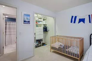 111 Maple Ave, Stanton, MI 48888 - Photo 19