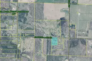 V/L Glovers Lake Rd, Bear Lake, MI 49614 - Photo 1