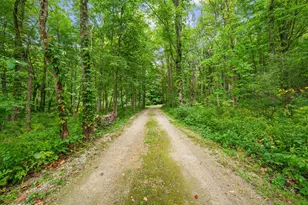 5471 Little Paw Paw Lake Rd, Coloma, MI 49038 - Photo 55