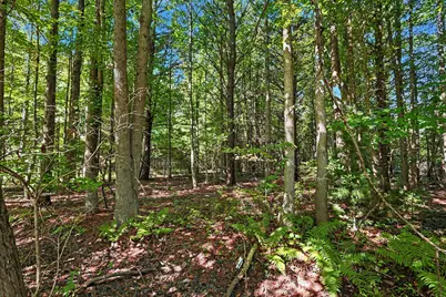 Vacant 168th Ave, Spring Lake, MI 49456 - Photo 5