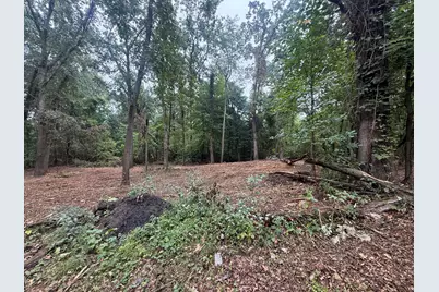 Vl Lakeview Dr, Dowagiac, MI 49047 - Photo 3