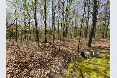 12998 Bowen Lake Drive, Gowen, MI 49326 - Photo 3