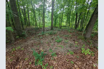 12998 Bowen Lake Drive, Gowen, MI 49326 - Photo 5