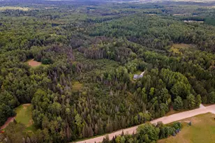 6720 W Welch Rd, Curran, MI 48728 - Photo 69