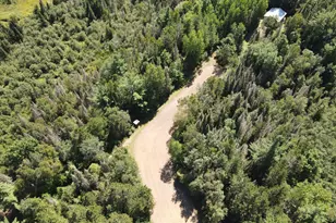 6720 W Welch Rd, Curran, MI 48728 - Photo 121