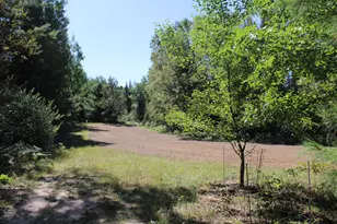 6720 W Welch Rd, Curran, MI 48728 - Photo 133