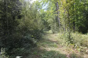 6720 W Welch Rd, Curran, MI 48728 - Photo 149