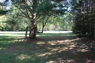 6720 W Welch Rd, Curran, MI 48728 - Photo 59