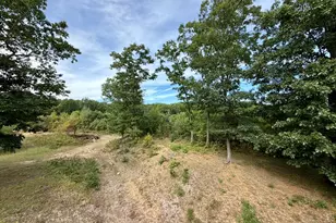 5530 Marilla Rd, Brethren, MI 49619 - Photo 31