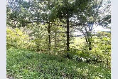 B Grand River Road, Rives Junction, MI 49277 - Photo 3