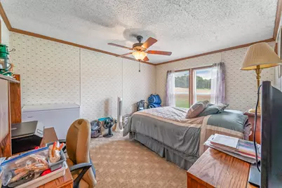 10010 S Beech Avenue, Howard City, MI 49329 - Photo 13