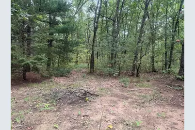 2341 E 95th Street, Newaygo, MI 49337 - Photo 5