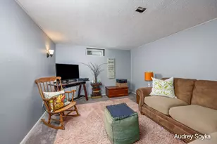 237 Roberta Jayne Dr SE, Lowell, MI 49331 - Photo 21