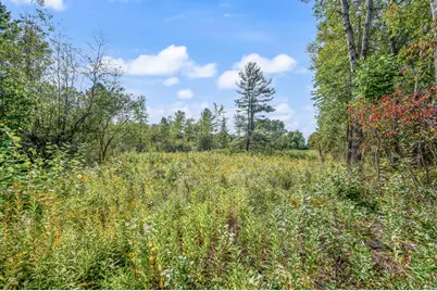 5.8 A V/L 220th Avenue, Big Rapids, MI 49307 - Photo 9