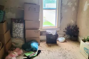 8435 N Democrat St, Free Soil, MI 49411 - Photo 23