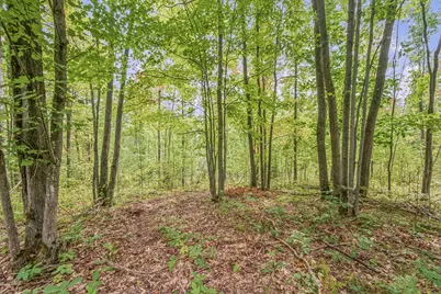 V/L 05 8 Mile Rd, Evart, MI 49631 - Photo 11