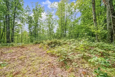 V/L 05 8 Mile Rd, Evart, MI 49631 - Photo 9