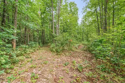 V/L 05 8 Mile Rd, Evart, MI 49631 - Photo 3