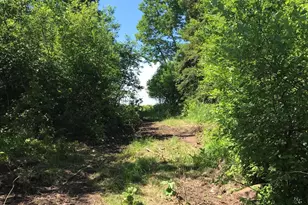 7338 M-129, Pickford, MI 49774 - Photo 67