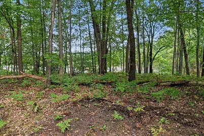 395 N Campbell Road, Fountain, MI 49410 - Photo 3