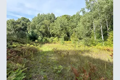 16396 S 50th Avenue, Marion, MI 49665 - Photo 35