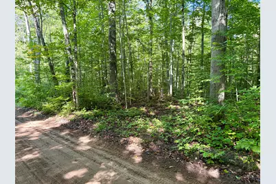 16396 S 50th Avenue, Marion, MI 49665 - Photo 59