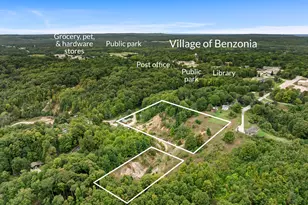 7314 Walker St, Benzonia, MI 49616 - Photo 3