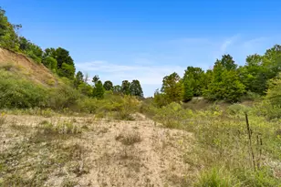 7314 Walker St, Benzonia, MI 49616 - Photo 43