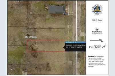 218 S Pearl Street, Albion, MI 49224 - Photo 1