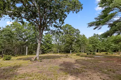 40 Acres Vl, Shelby, MI 49455 - Photo 17