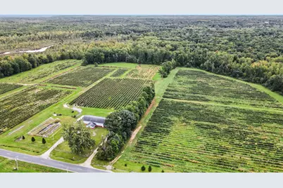 County Road 653, Gobles, MI 49055 - Photo 17