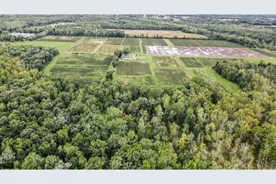 County Road 653, Gobles, MI 49055 - Photo 13