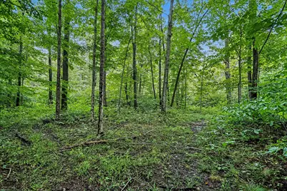 County Road 653, Gobles, MI 49055 - Photo 7