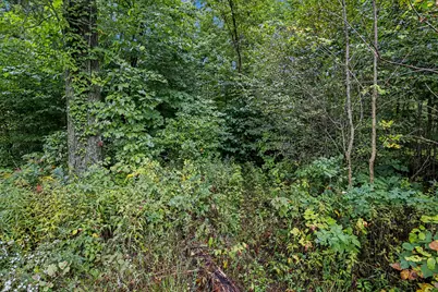 County Road 653, Gobles, MI 49055 - Photo 9