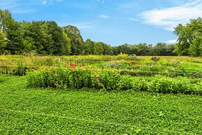 9247 Holden Road, Baroda, MI 49101 - Photo 23