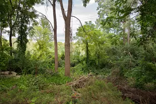 597 S Wagner Rd, Ann Arbor, MI 48103 - Photo 21