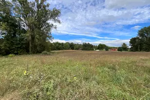 V/L Priest St, Dowagiac, MI 49047 - Photo 1