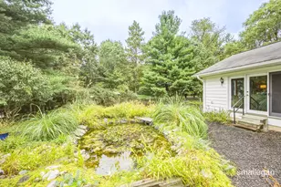 610 W Ellis Ave, Belding, MI 48809 - Photo 47