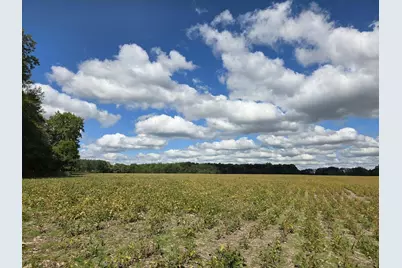 2175 16 Mile Road NE, Cedar Springs, MI 49319 - Photo 7