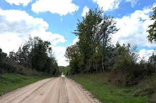 22591 130th Ave, Hersey, MI 49639 - Photo 1