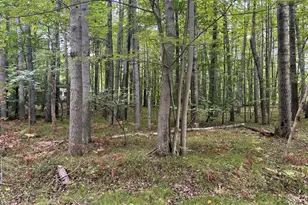 8228 Tanglewood Trail, Stanwood, MI 49346 - Photo 1