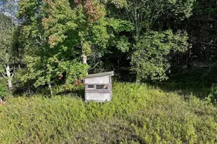 14398 15 Mile Rd, Leroy, MI 49655 - Photo 49