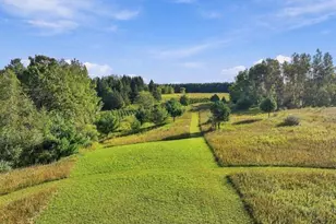 14398 15 Mile Rd, Leroy, MI 49655 - Photo 47