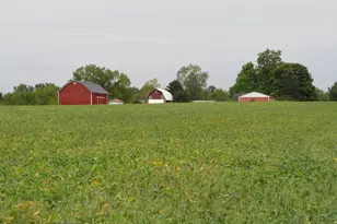 9741 E Cutler Rd, Laingsburg, MI 48848 - Photo 125